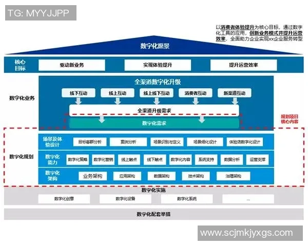 武汉排球队的转型之路：深度解析排球战术与团队协作的变革
